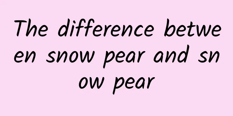 The difference between snow pear and snow pear