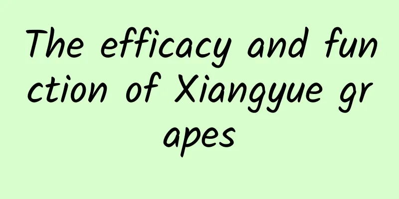 The efficacy and function of Xiangyue grapes