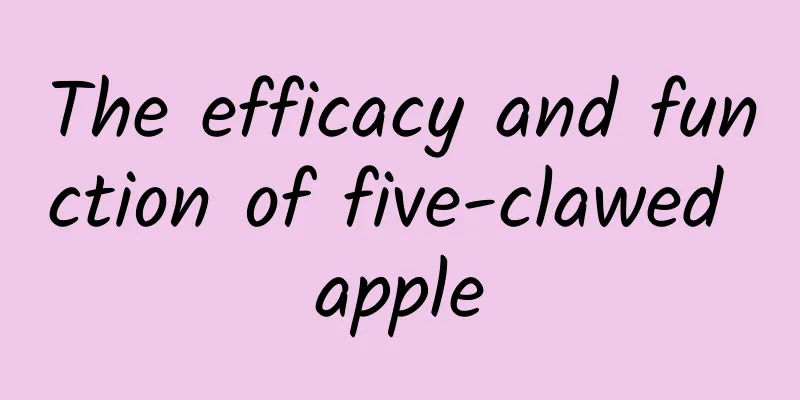 The efficacy and function of five-clawed apple