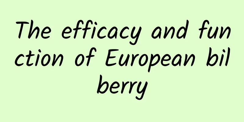 The efficacy and function of European bilberry