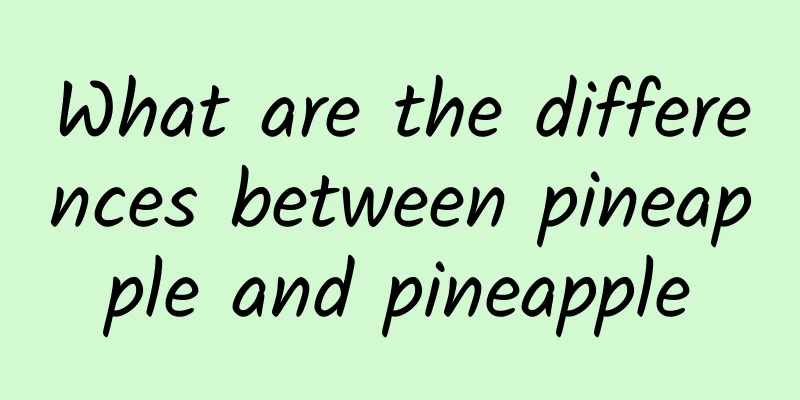 What are the differences between pineapple and pineapple