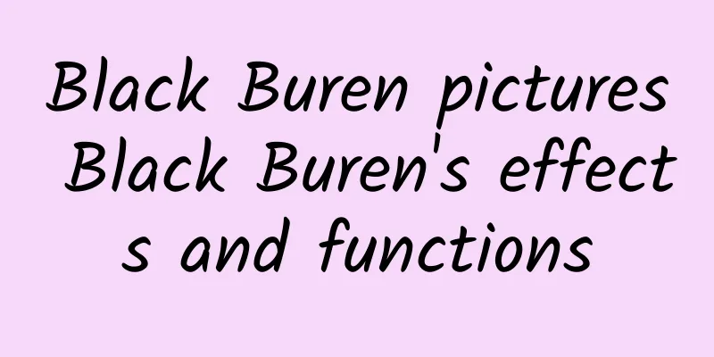 Black Buren pictures Black Buren's effects and functions