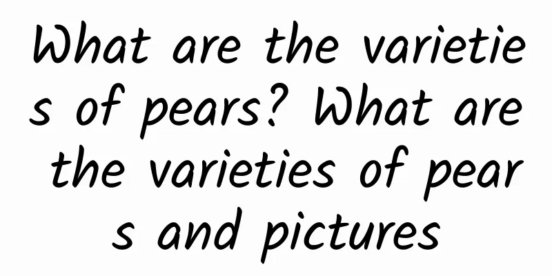 What are the varieties of pears? What are the varieties of pears and pictures