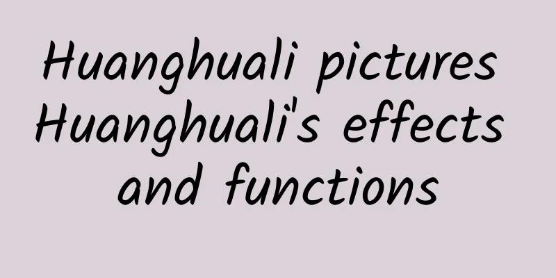 Huanghuali pictures Huanghuali's effects and functions