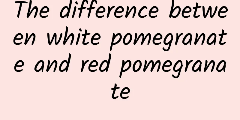 The difference between white pomegranate and red pomegranate