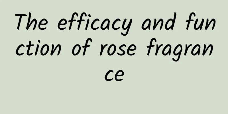 The efficacy and function of rose fragrance