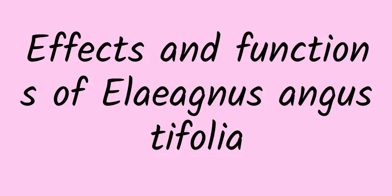 Effects and functions of Elaeagnus angustifolia