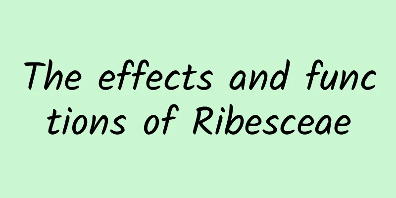 The effects and functions of Ribesceae