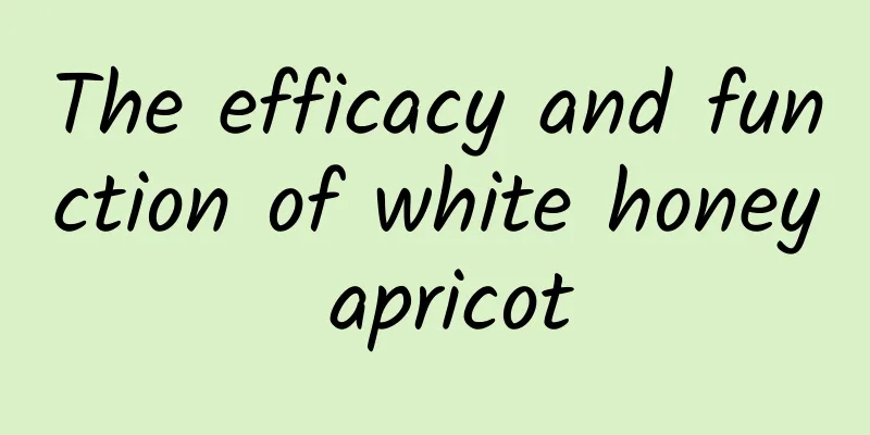 The efficacy and function of white honey apricot