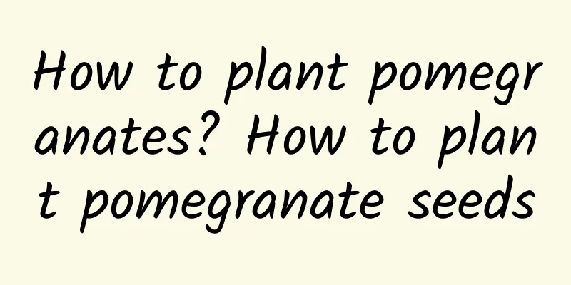 How to plant pomegranates? How to plant pomegranate seeds