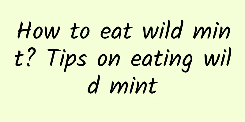 How to eat wild mint? Tips on eating wild mint