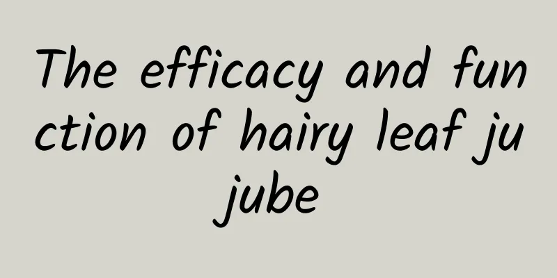 The efficacy and function of hairy leaf jujube