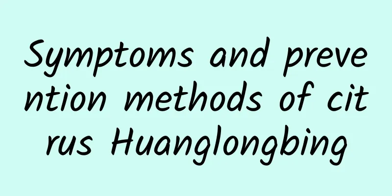 Symptoms and prevention methods of citrus Huanglongbing