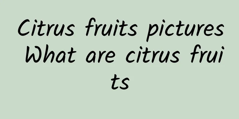 Citrus fruits pictures What are citrus fruits