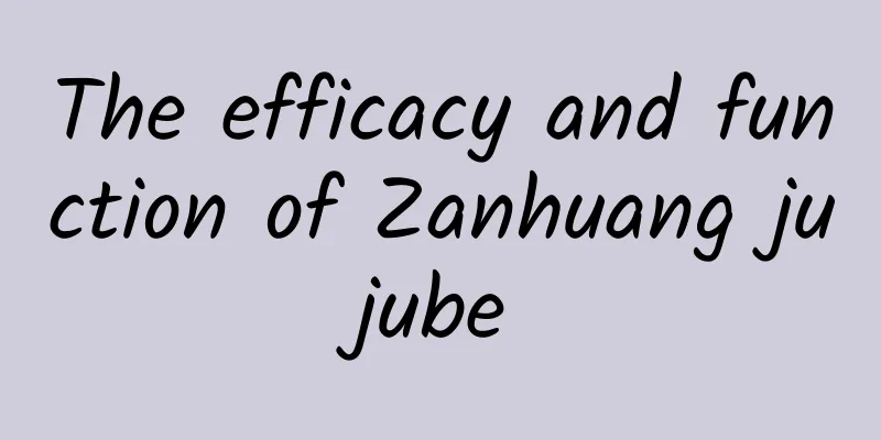 The efficacy and function of Zanhuang jujube