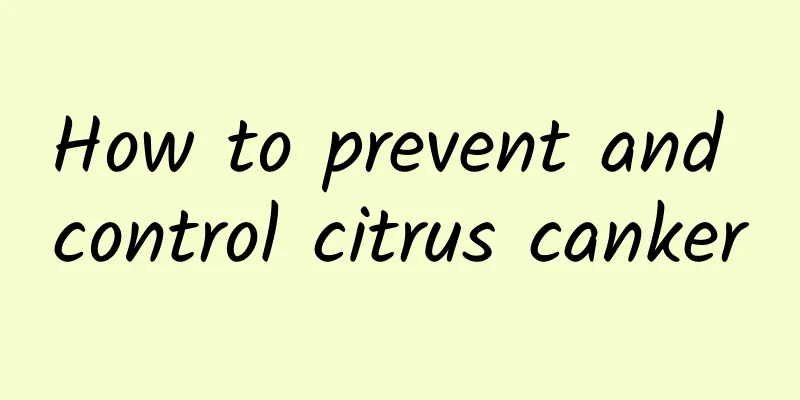 How to prevent and control citrus canker