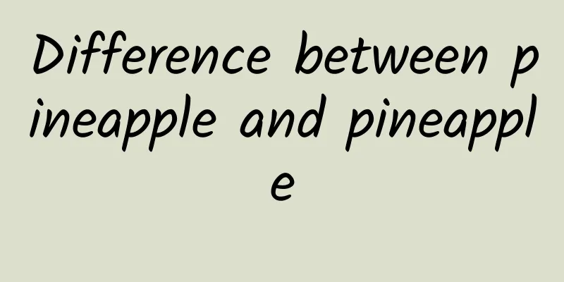 Difference between pineapple and pineapple