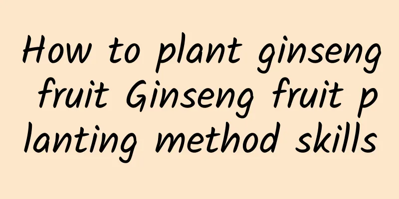 How to plant ginseng fruit Ginseng fruit planting method skills