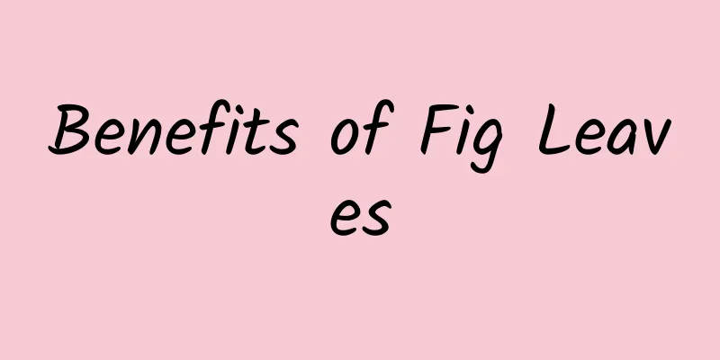 Benefits of Fig Leaves