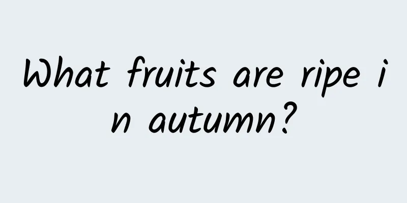 What fruits are ripe in autumn?