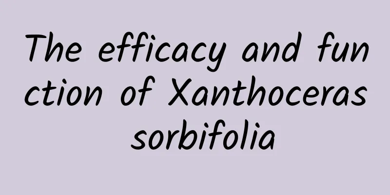 The efficacy and function of Xanthoceras sorbifolia