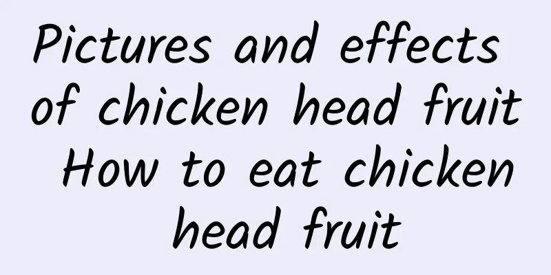 Pictures and effects of chicken head fruit How to eat chicken head fruit