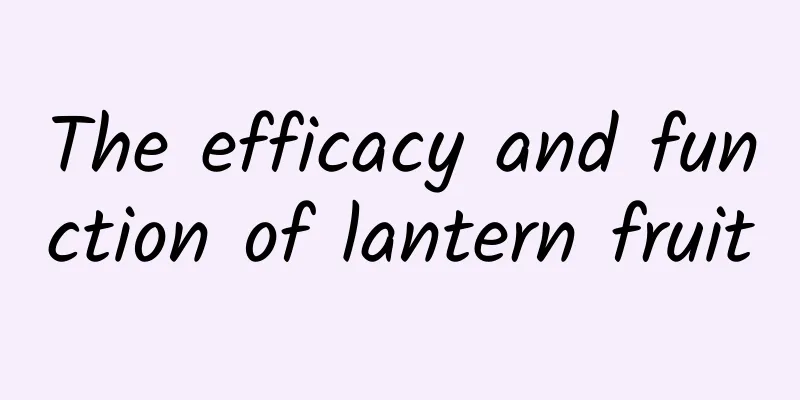 The efficacy and function of lantern fruit