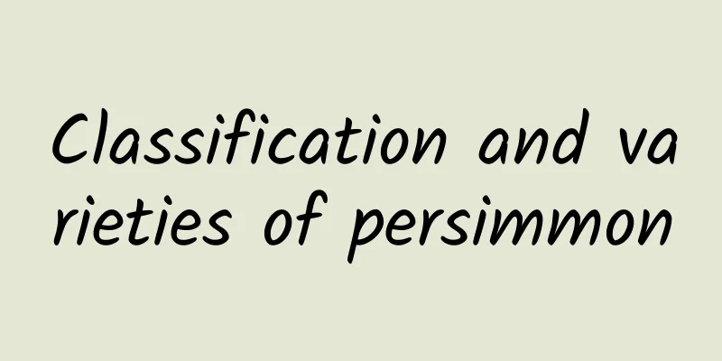 Classification and varieties of persimmon