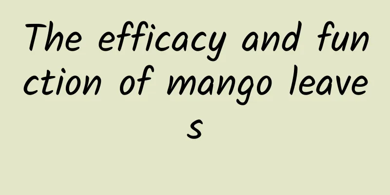 The efficacy and function of mango leaves