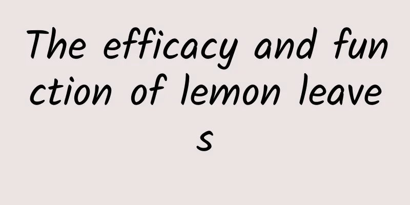 The efficacy and function of lemon leaves