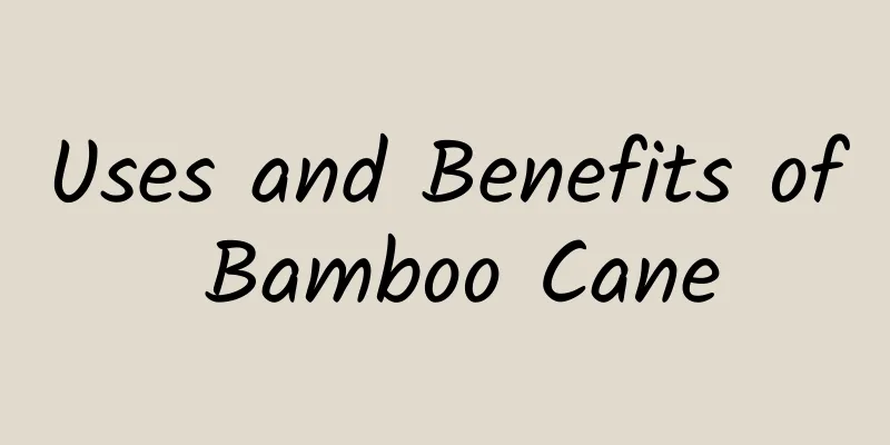 Uses and Benefits of Bamboo Cane