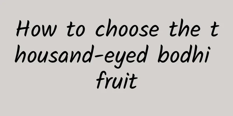 How to choose the thousand-eyed bodhi fruit