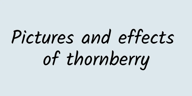 Pictures and effects of thornberry