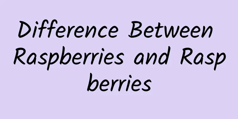 Difference Between Raspberries and Raspberries