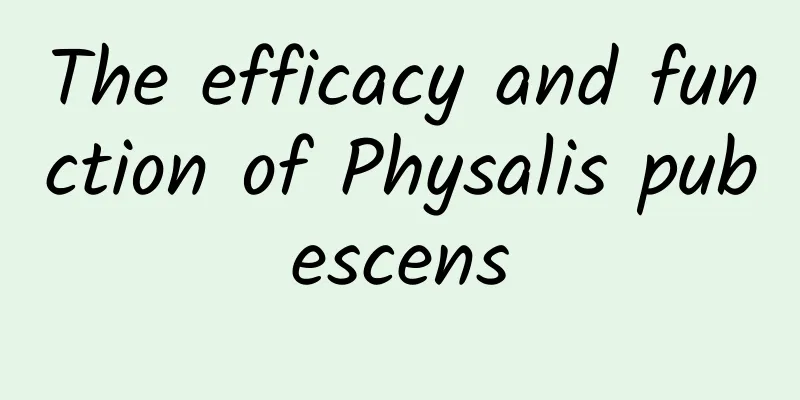 The efficacy and function of Physalis pubescens