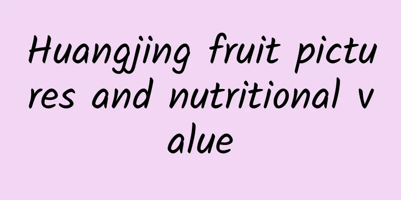 Huangjing fruit pictures and nutritional value