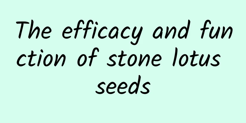 The efficacy and function of stone lotus seeds