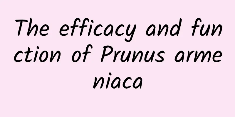 The efficacy and function of Prunus armeniaca