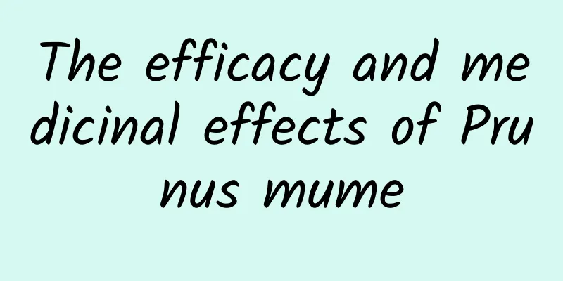 The efficacy and medicinal effects of Prunus mume