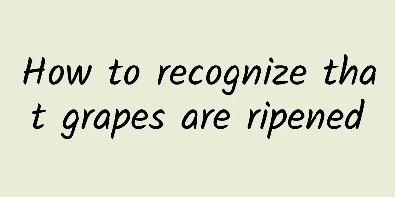 How to recognize that grapes are ripened