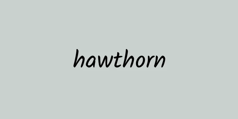 hawthorn