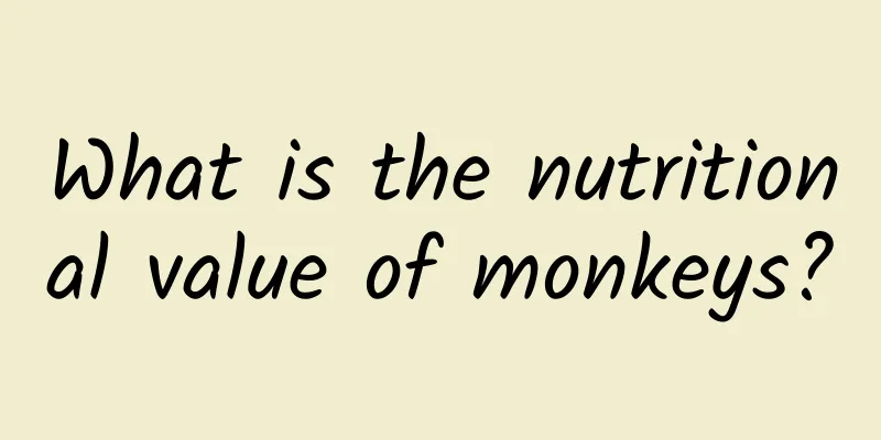 What is the nutritional value of monkeys?