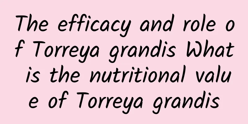 The efficacy and role of Torreya grandis What is the nutritional value of Torreya grandis