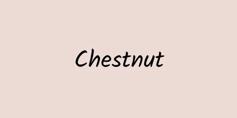 Chestnut