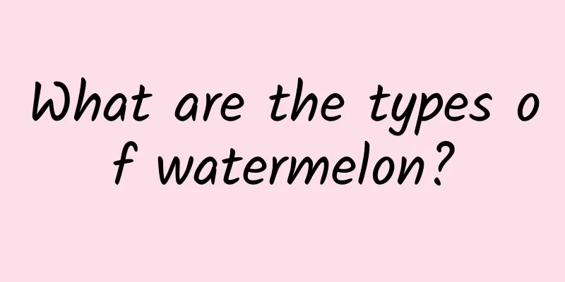 What are the types of watermelon?