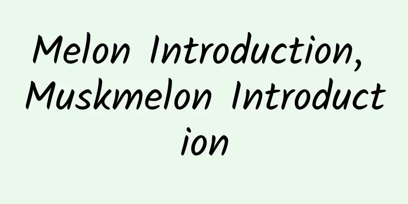 Melon Introduction, Muskmelon Introduction