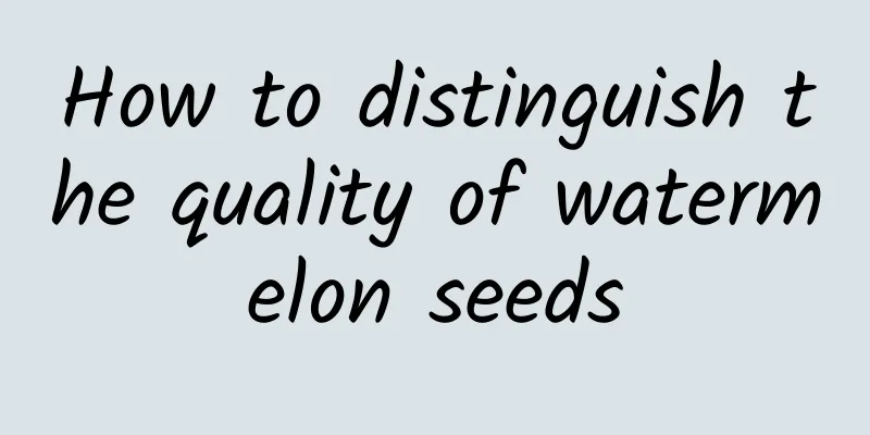 How to distinguish the quality of watermelon seeds