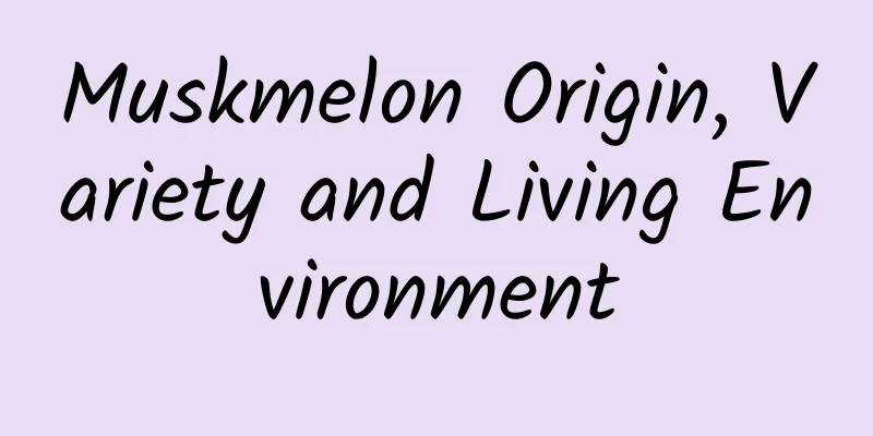 Muskmelon Origin, Variety and Living Environment