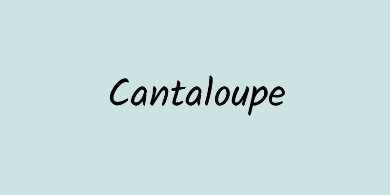 Cantaloupe