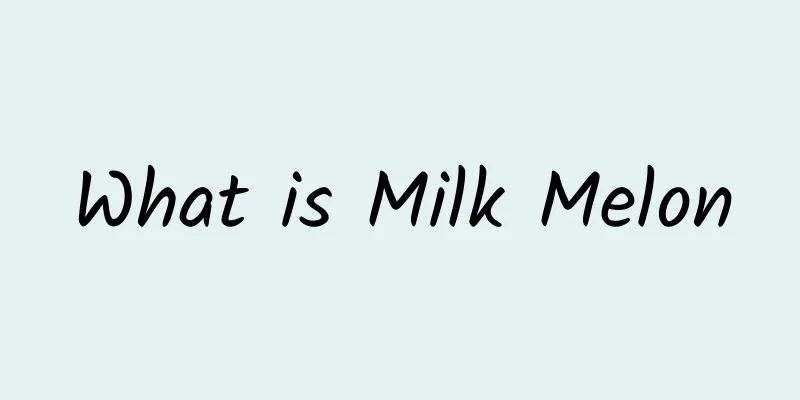 What is Milk Melon